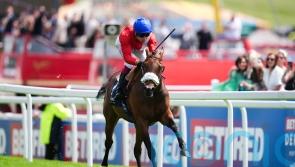 Formal mixing it against the boys in Criterion