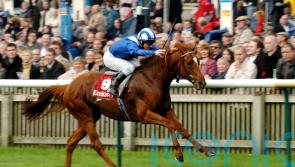 Classic heroes and Arc angel Rheingold on the list of Barry Hills giants