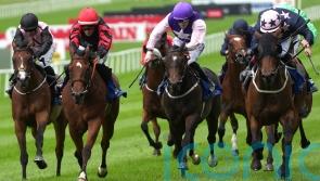 Vespertilio pips My Mate Alfie in Dash thriller