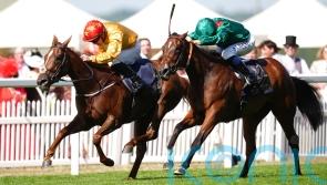 Nassau now looks set to be next for Cercene