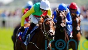 Sandown not in Chapple-Hyam&rsquo;s plans for Kon Tiki