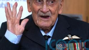 Portrait of last Battle of Britain pilot handed over at National Museum