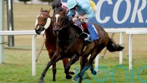 Rumstar leads Sandown Charge for Portman