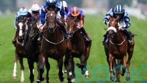 Venetian Sun setting the standard in Duchess of Cambridge