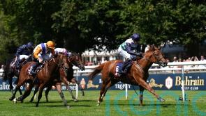 Zavateri strikes the right note in July Stakes success