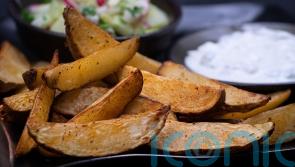 60,000 air fryers recalled across Ireland over &lsquo;manufacturing defect&rsquo;