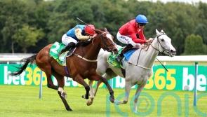 Goodwood assignment pencilled in for Scenic