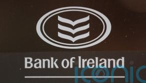 Bank of Ireland apologises after oil spill at Dublin park