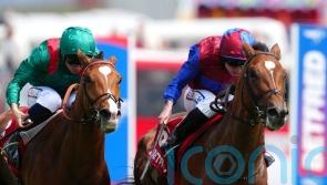 Jan Brueghel poised to be the Ballydoyle big gun in the King George