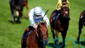 Connections opt to miss the King George with Amiloc