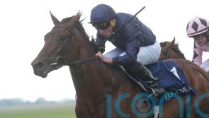 Henri Matisse ready to renew Field Of Gold rivalry at Goodwood