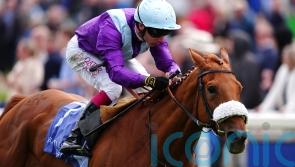 See The Fire primed to go one better than last year at Goodwood