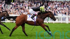 Fitzella fits the bill for Hugo Palmer in Princess Margaret