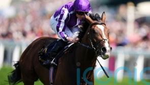 Illinois expected to thrive over Goodwood Cup trip
