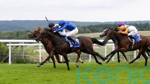 Zavateri defies penalty with Vintage performance