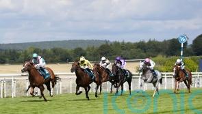 Gosdens lament Field Of Gold&rsquo;s lacklustre Sussex run