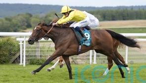 Waardah far from certain to go to York