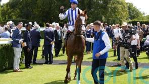 Return to Goodwood possible for Seagulls Eleven