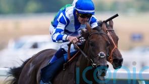 Royal Dubai aiming to continue good start for Burrows at Haydock