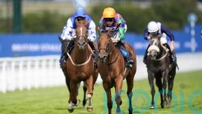 Spicy Marg all set to take on her elders in Nunthorpe