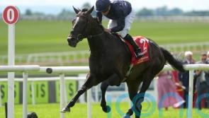 Lambourn still &lsquo;definitely&rsquo; in the Voltigeur mix, says O&rsquo;Brien