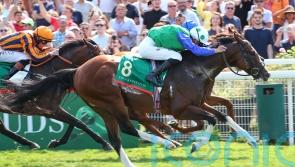 Diego Velazquez strikes Group One gold for new owners