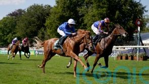 &lsquo;A big player&rsquo; &ndash; Distant Storm brewing in Acomb Stakes