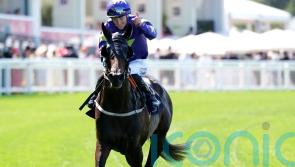 Carmers in good shape for York clash with Lambourn