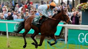 Song Of The Clyde in tune for another big sales race win for Clive Cox