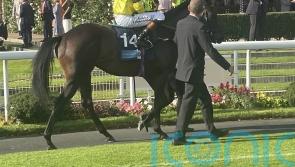 York Eyecatcher Spyce can add plenty of interest going forward