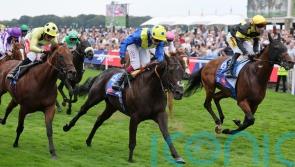 Never So Brave hits Group One target in City of York