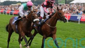 Tarriance triumphs in Melrose thriller at York