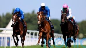 Publish in line for what could prove highly-informative Solario Stakes