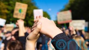 Little appetite for celebrities airing political views, polling suggests