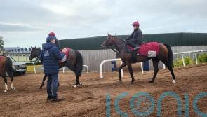 Aidan O&rsquo;Brien eager for Ombudsman rematch with Delacroix