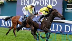 Lifeplan on course for Middle Park outing