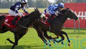 Sky Majesty the Haydock hope for William Haggas in Saturday&rsquo;s Sprint Cup