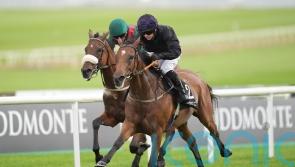 One Look snapped up by Wathnan Racing