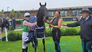 New owners for &lsquo;extremely exciting&rsquo; Willie Mullins two-year-old