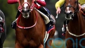 Shin Emperor camp hopeful of going two places better at Leopardstown