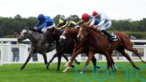 Paris on Arc day in sight for A Bit Of Spirit