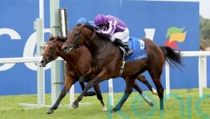 Delacroix takes on seven in his Irish Champion Stakes quest