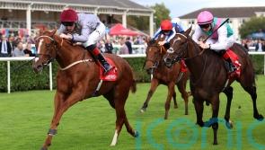 Aylin has the answers in May Hill at Doncaster