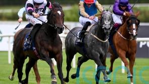 Fallen Angel has Matron Stakes gold in her sights