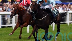 Rod Millman&rsquo;s bargain buy Anthelia bags another big prize