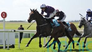 Adrian Murray&rsquo;s sprinting aces face off in Flying Five