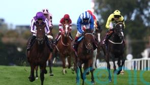 &lsquo;Big tiger&rsquo; Delacroix delivers another Irish Champion for Aidan O&rsquo;Brien