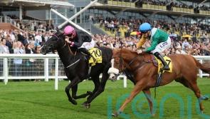 First Instinct pounces for Trophy success