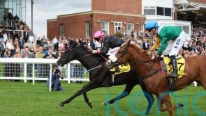 First Instinct delights William Haggas with Trophy win