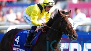 Roger Varian taking heart after fruitful St Leger meeting